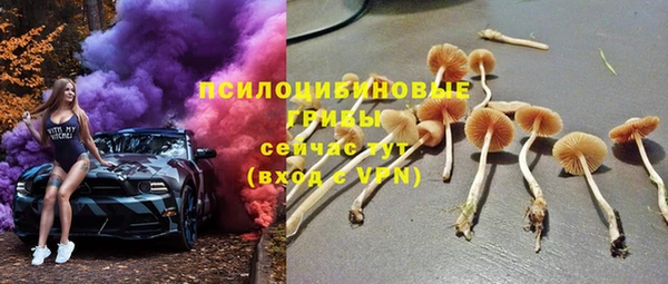 МДПВ Алзамай