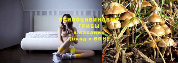 прущие крисы Алексин